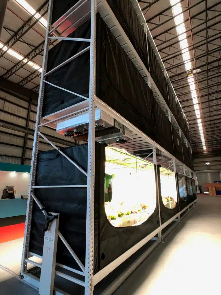 Indoor grow rack with blackout curtains