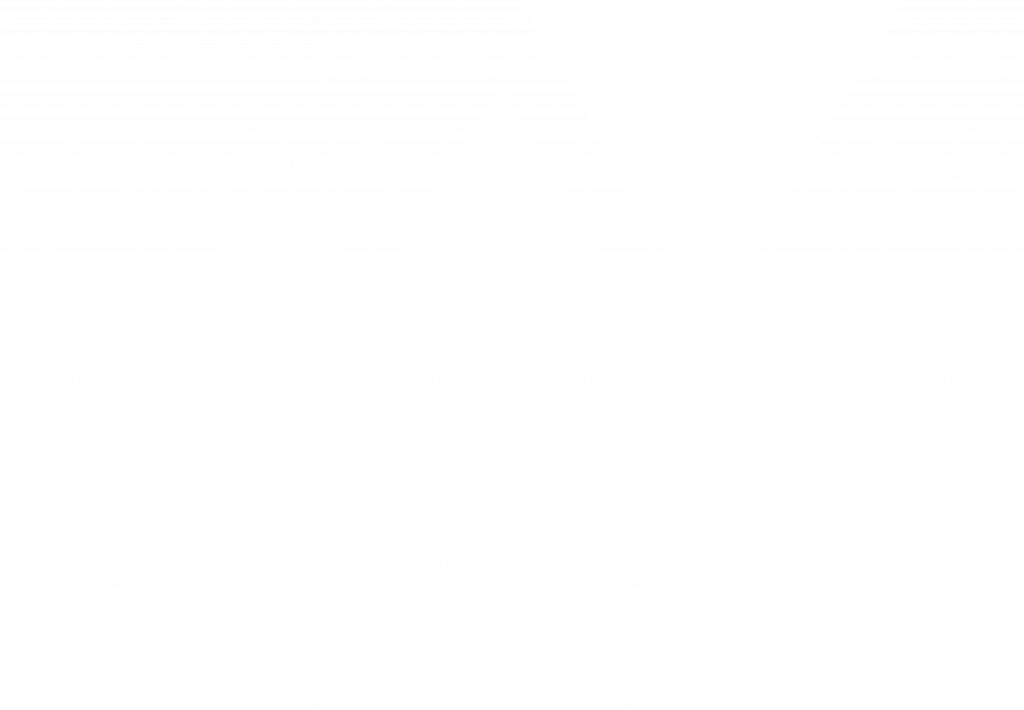 Vertical Air Solutions