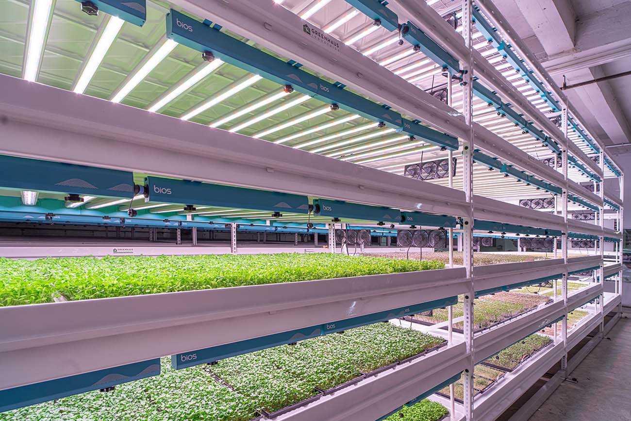 Agriculture Storage Solutions