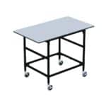 Backroom Processing Table